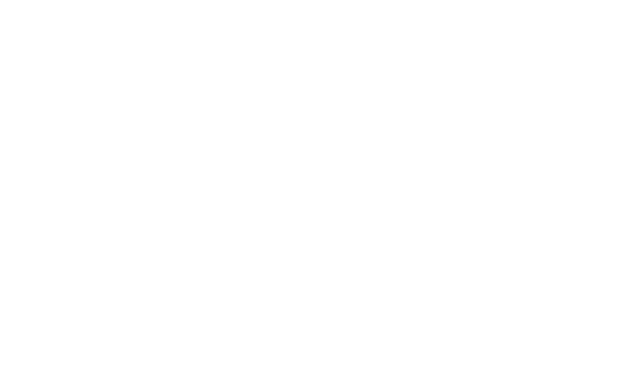 ADVANTAGE CARPET CARE LLC 900 white
