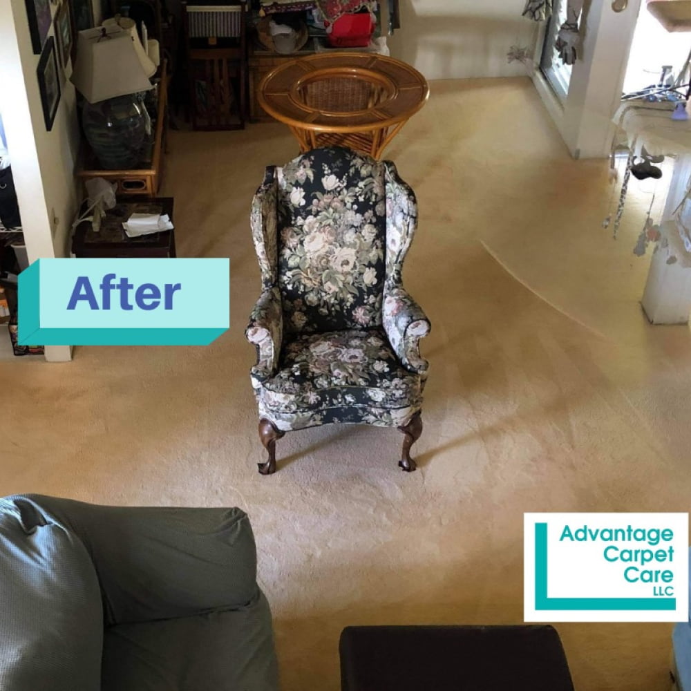 picture of a clean living room carpet after carpet cleaning service kaneohe hi