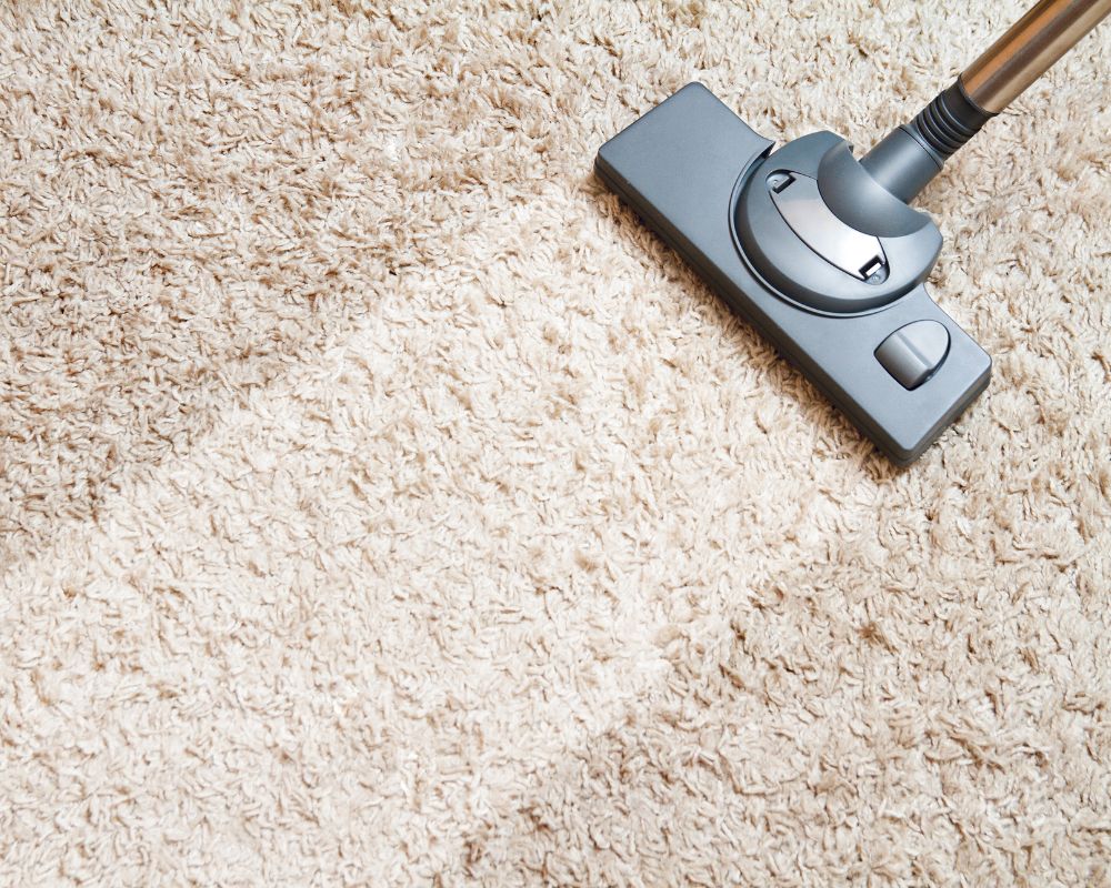 house carpet cleaning with vacuum cleaner kailua hi